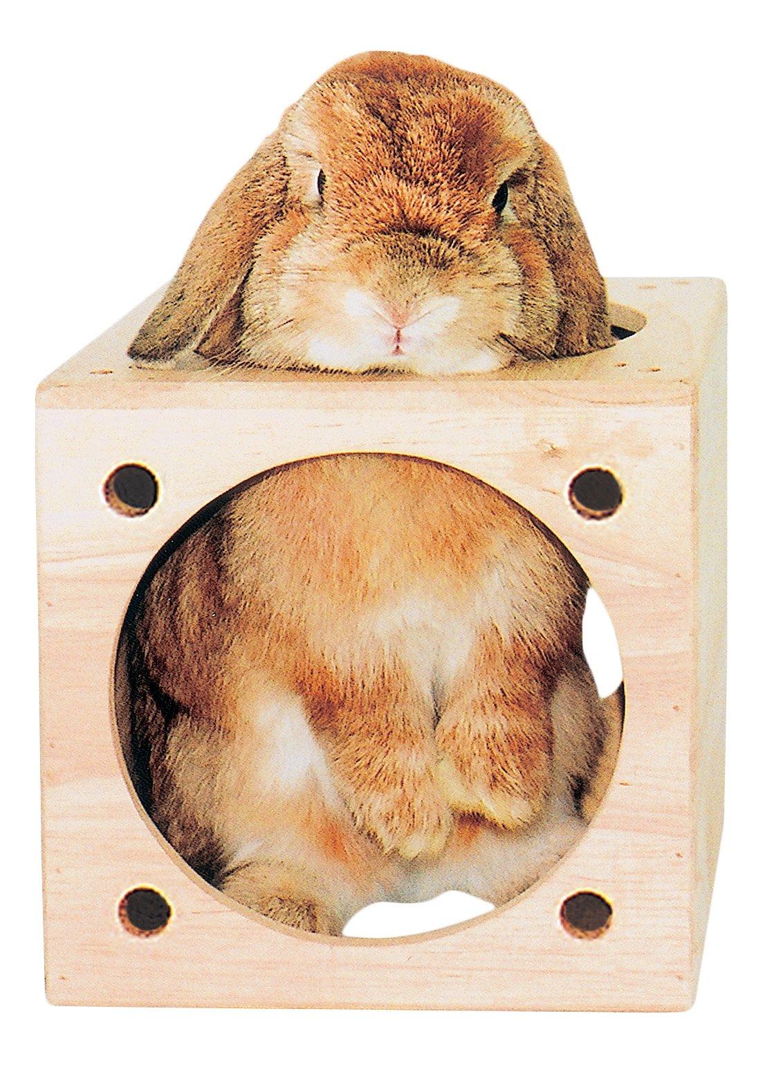 KAWAI C.A.T. Кубический дом